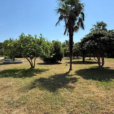 2 Grand Jardin, A 350 M De La Avec Climatisation Apartmán