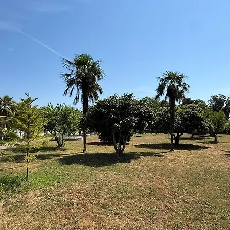 2 Grand Jardin, A 350 M De La Avec Climatisation